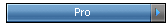 Pro